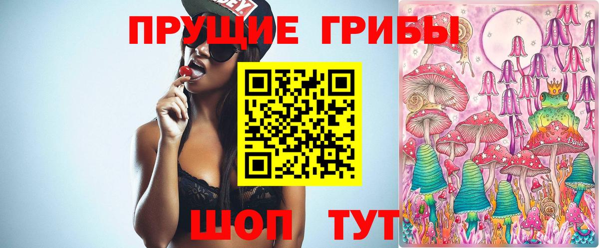 купить наркотики цена  Вход с VPN  Миасс  Псилоцибиновые грибы MAGIC MUSHROOMS 